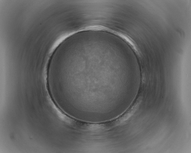 X0000112101430200908041502