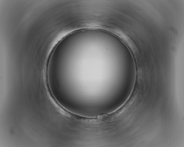 X0000112101432200908041502