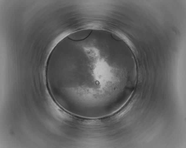X0000112101434200908041502