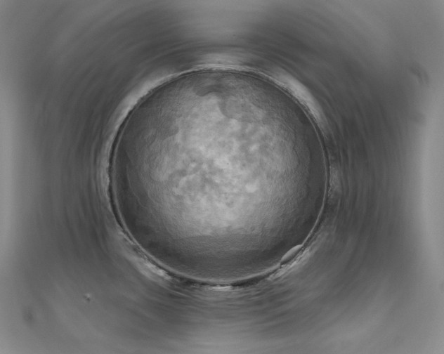 X0000112101435200908041502