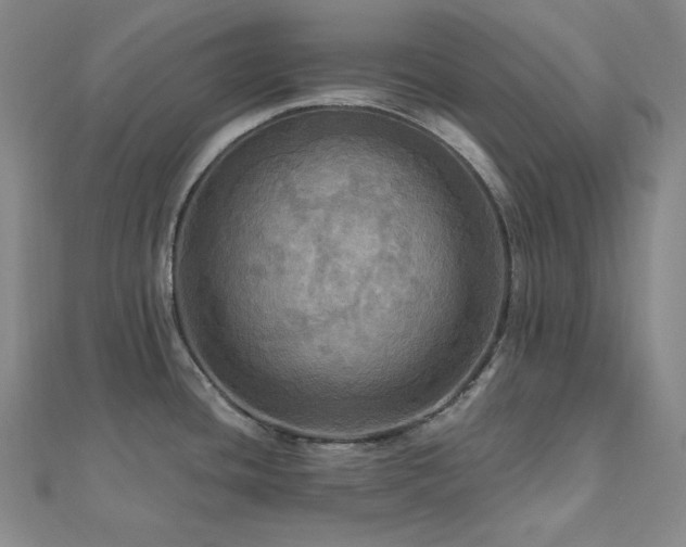 X0000112101436200908041502