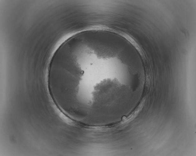 X0000112101438200908041502