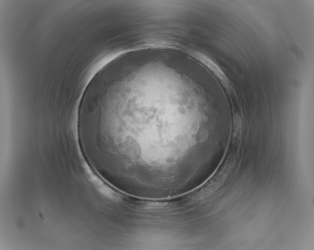 X0000112101439200908041502