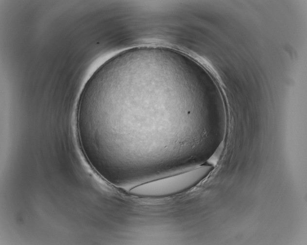 X0000112101440200908041502