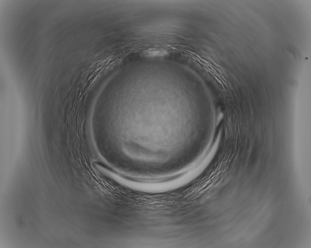 X0000112101441200908041501
