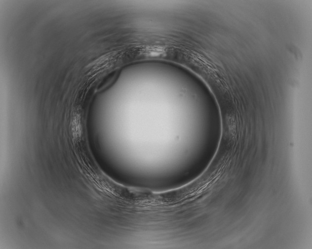 X0000112101442200908041501