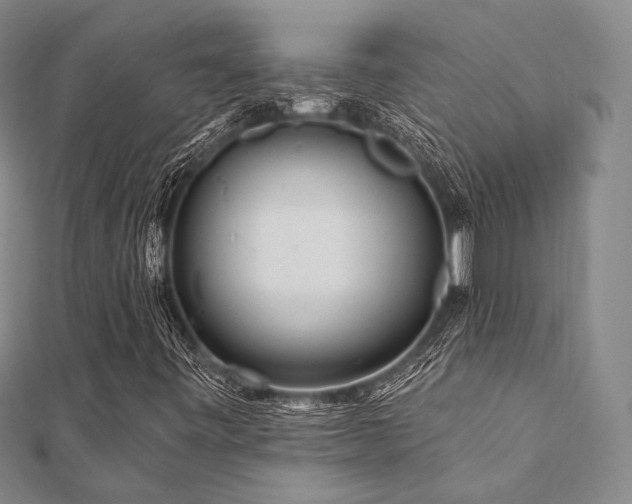X0000112101443200908041501
