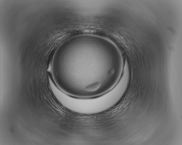 X0000112101444200908041501