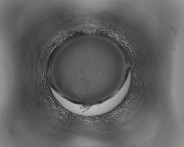 X0000112101445200908041501