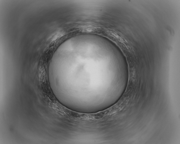 X0000112101446200908041501