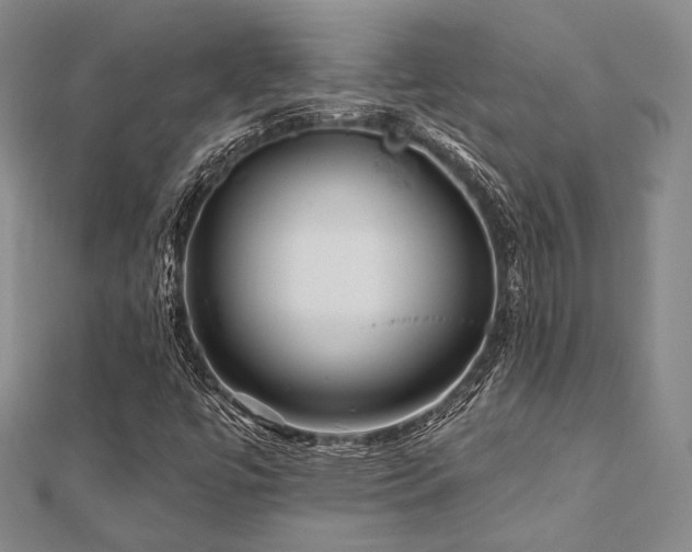 X0000112101447200908041501