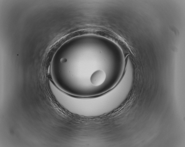 X0000112101448200908041501