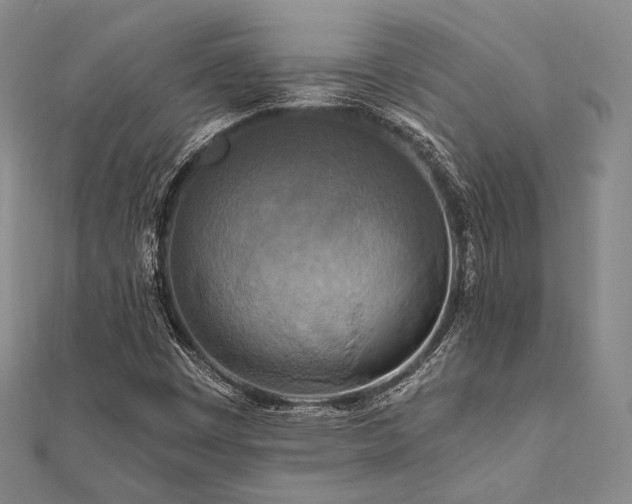 X0000112101449200908041501