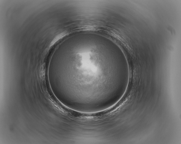 X0000112101450200908041501