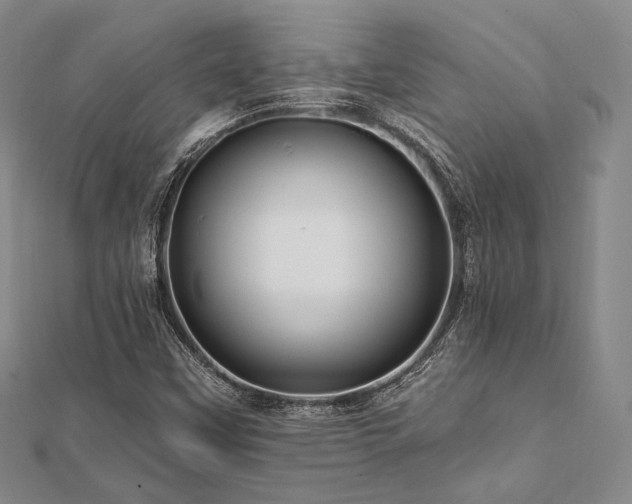 X0000112101451200908041501