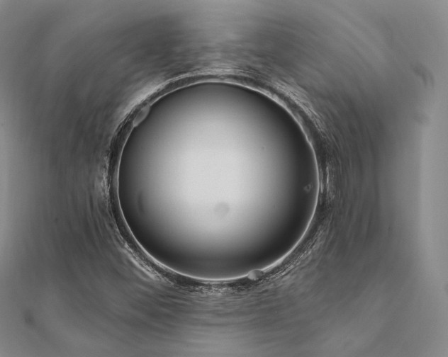 X0000112101452200908041501