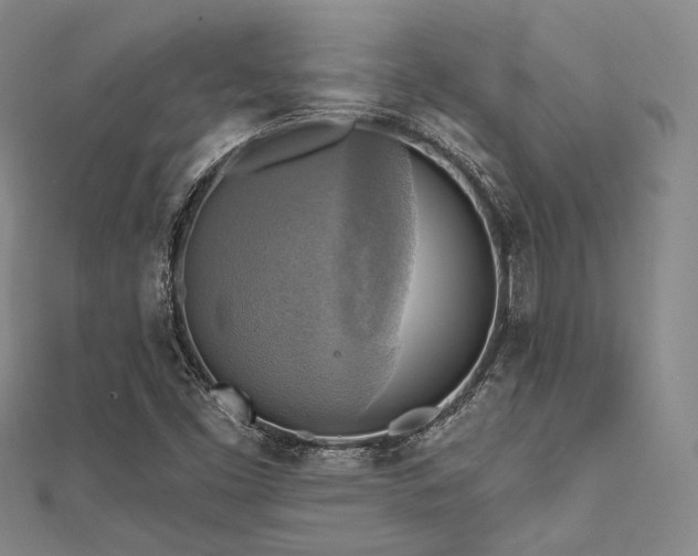 X0000112101453200908041501