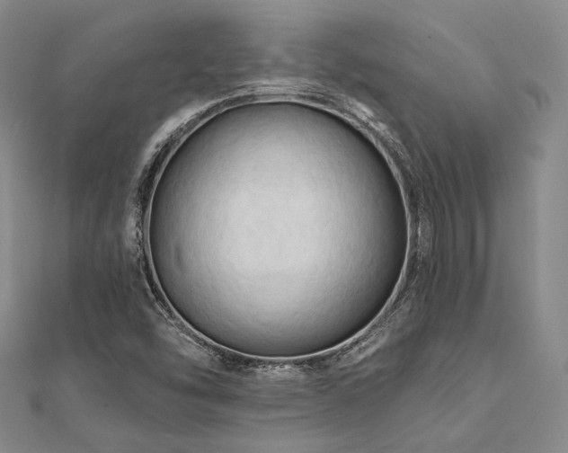 X0000112101454200908041501