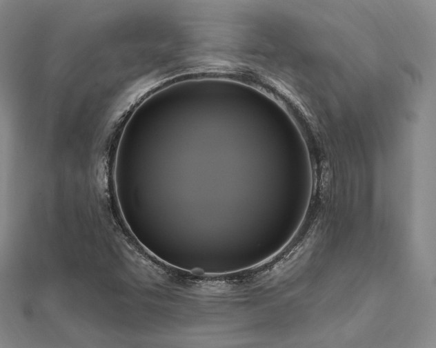 X0000112101455200908041501
