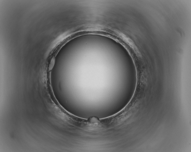 X0000112101456200908041501