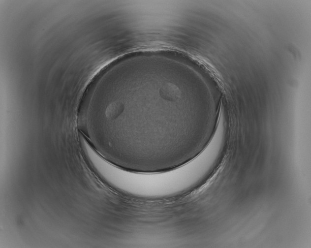 X0000112101457200908041501