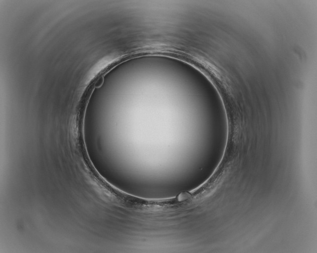 X0000112101458200908041501