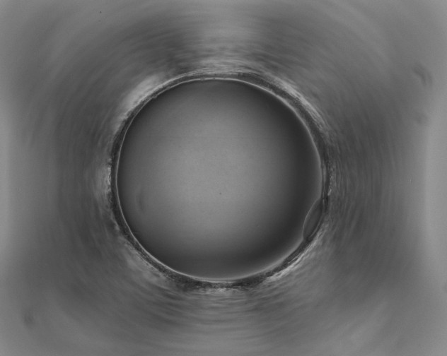 X0000112101459200908041501