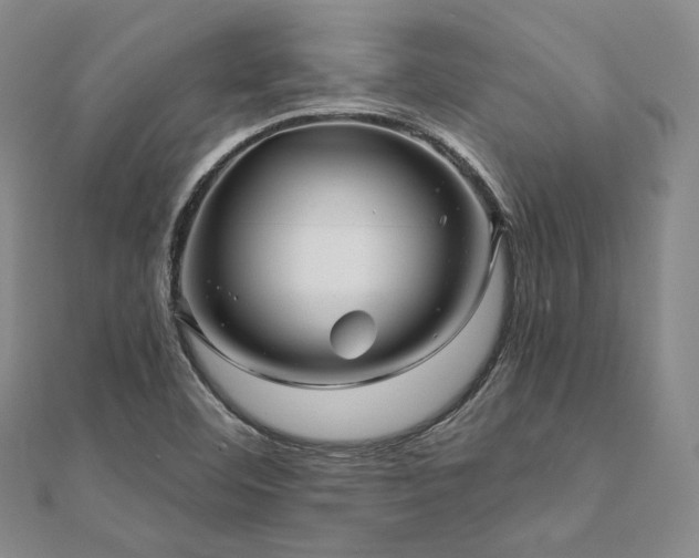 X0000112101460200908041501