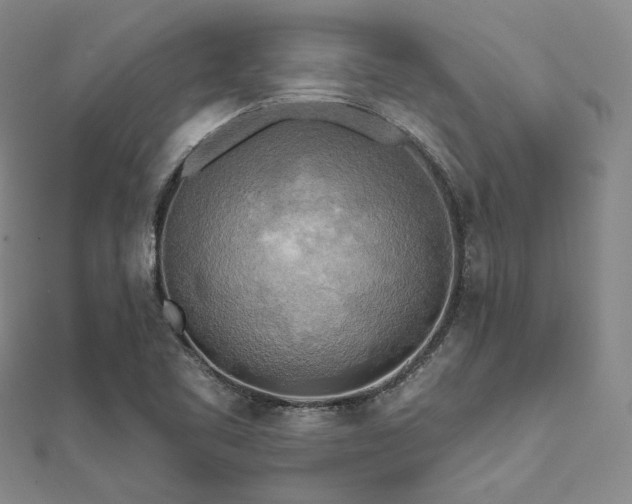 X0000112101461200908041501