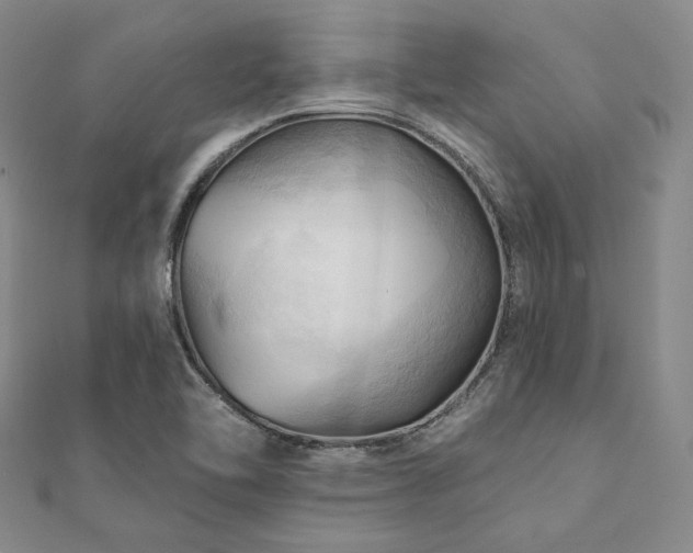 X0000112101462200908041501