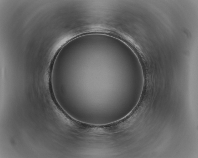 X0000112101463200908041501