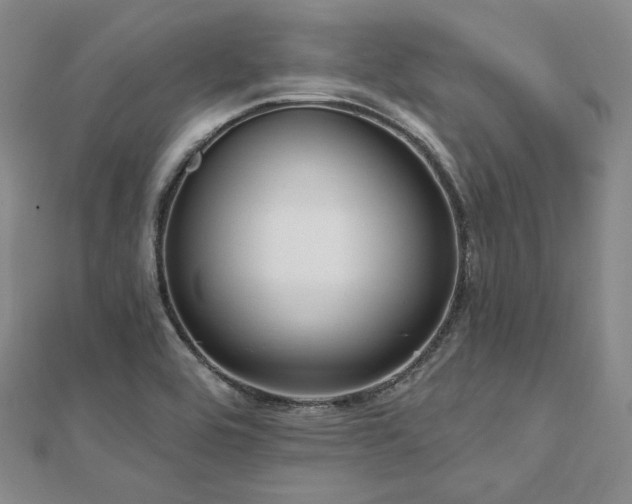 X0000112101464200908041501