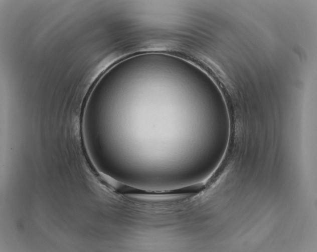 X0000112101465200908041501