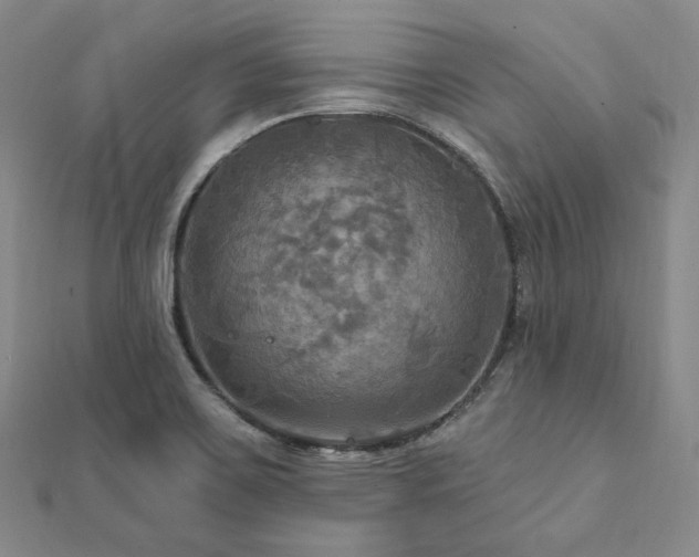 X0000112101467200908041501