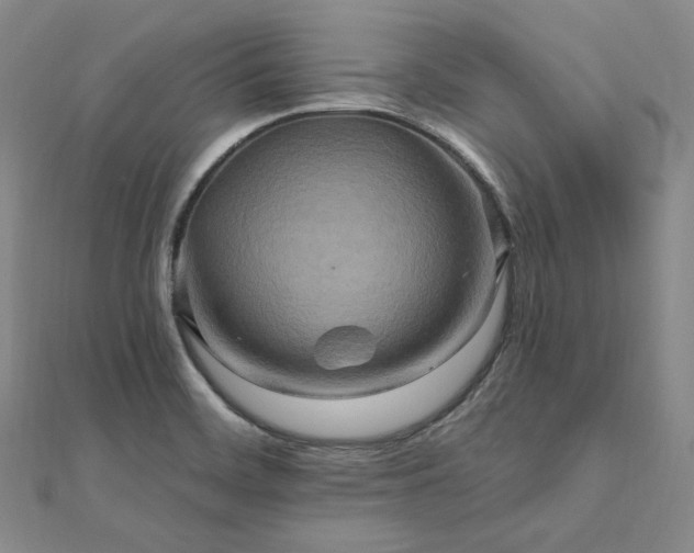 X0000112101468200908041501