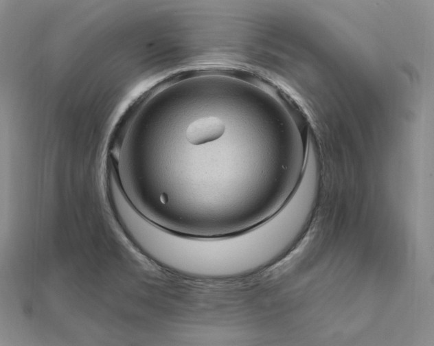 X0000112101469200908041501