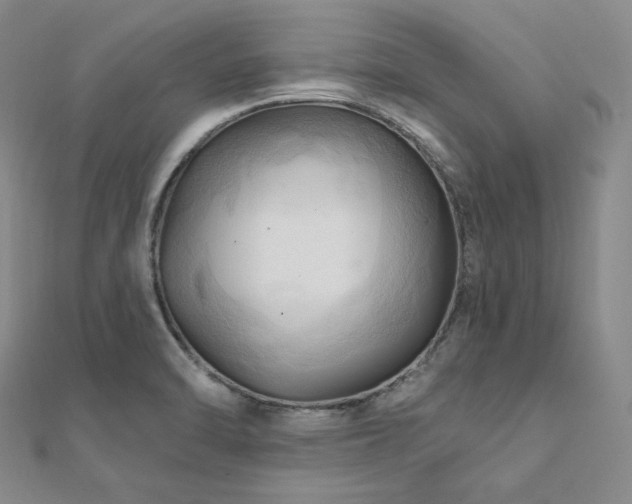 X0000112101470200908041501