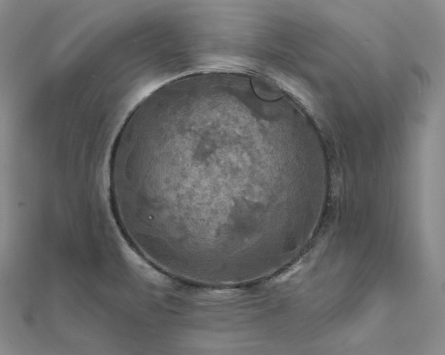 X0000112101471200908041501