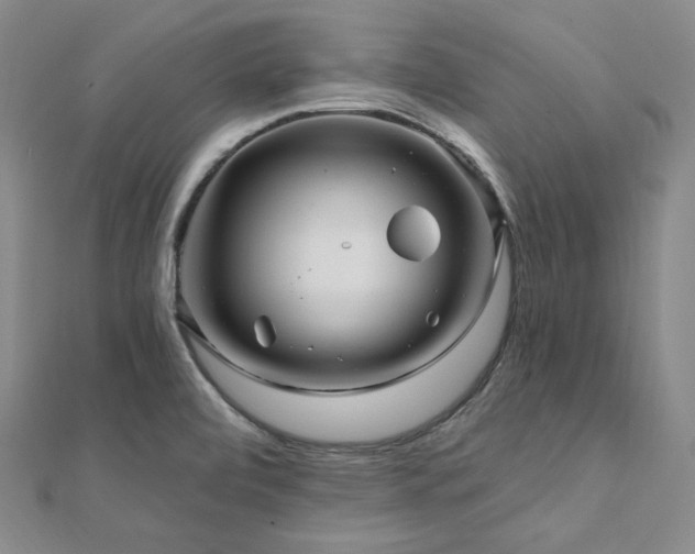 X0000112101472200908041501