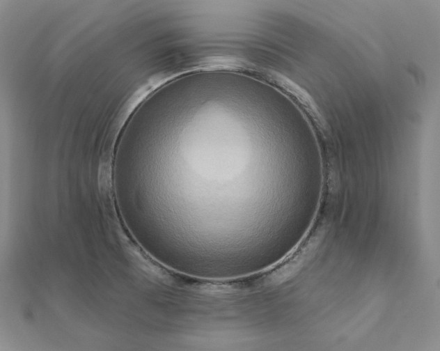 X0000112101473200908041501