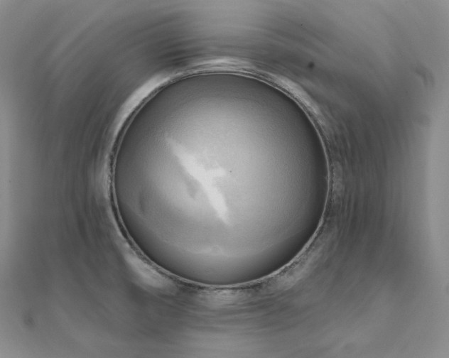 X0000112101474200908041501