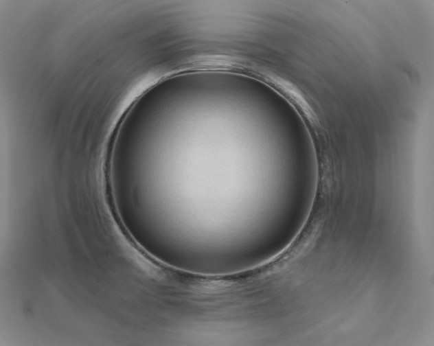 X0000112101475200908041501