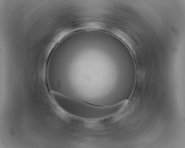 X0000112101477200908041501