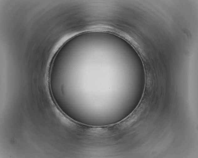 X0000112101478200908041501