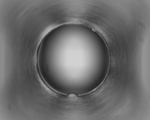 X0000112101479200908041501