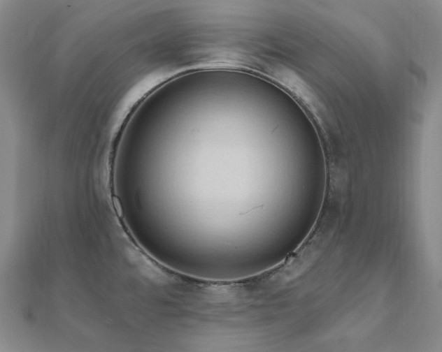 X0000112101480200908041501