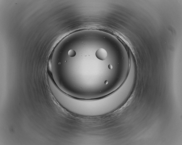 X0000112101481200908041501