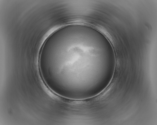 X0000112101482200908041501