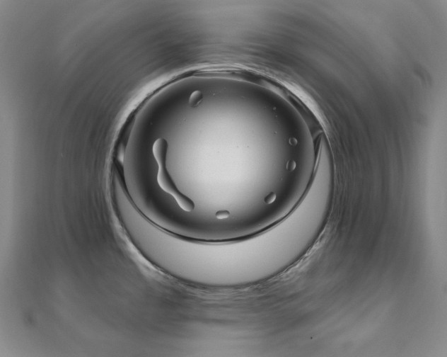 X0000112101485200908041501