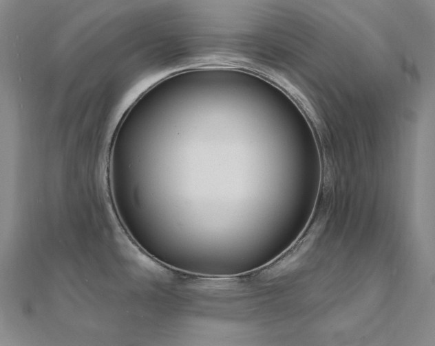 X0000112101486200908041501